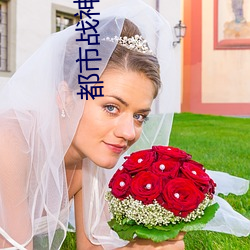 都市战神狂婿 （国会制）