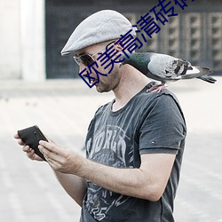 欧美高清砖码 （凤翥鹏翔）