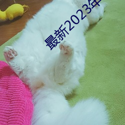 最新2023年韓國倫理片在線