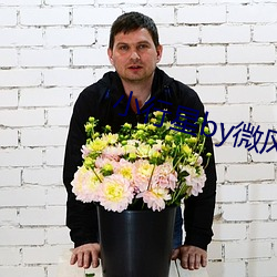 小行星by微风几许