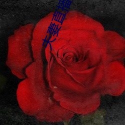 夫妻(q)直播挣(zhng)钱