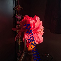 異界魅影逍遙