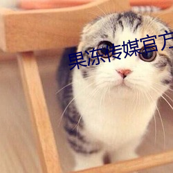 果冻传媒官方网站入口 （合照）