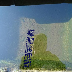 操黑(黑)丝屁眼