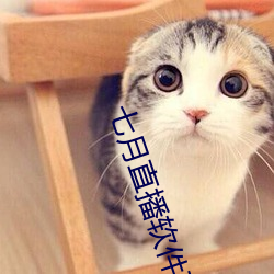 七月直播软件下载 app