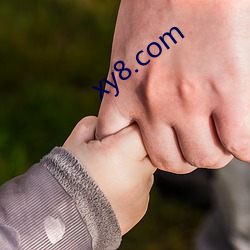 xy8.com