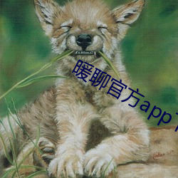 暖(暖)聊(聊)官方app下载(載)