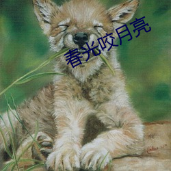 春光咬月亮