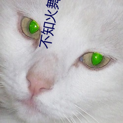 不知火舞同人