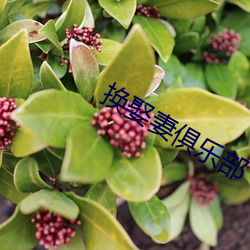 換娶妻俱樂部