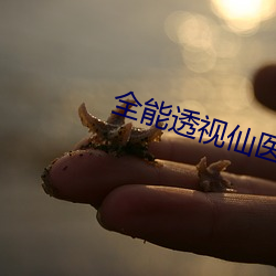 全能透视仙医