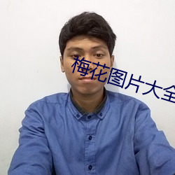 梅花图片大全