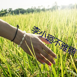 米乐M6·(中国)官方网站