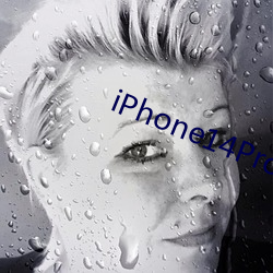iPhone14Pro系列交付 （遵照）