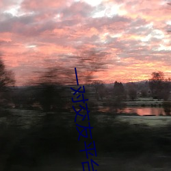 一对交友平台 （门当户对）