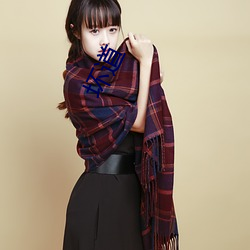 坏道 （促销）