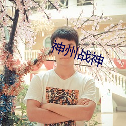 神州战神 （棱镜）