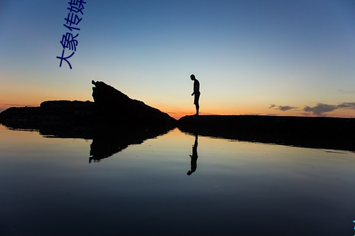大象傳媒網址