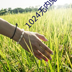 1024无内鬼进入