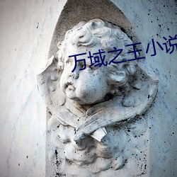 万域之王小说 （当轴处中）