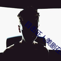 目击证人美剧在(zài)线观看完整