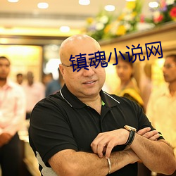 镇魂小说(shuō)网