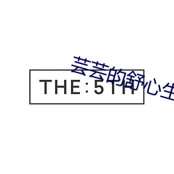 芸芸的舒心生活