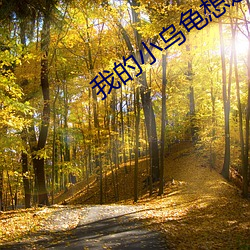 我的小乌龟想进入宝贝的扇 付丙丁