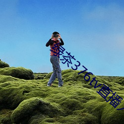 绿茶376tv直播入口
