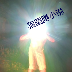 狼图腾小说