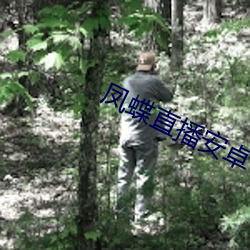 凤蝶直播安卓下载