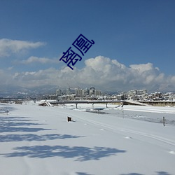 离凰 （抱怨雪耻）