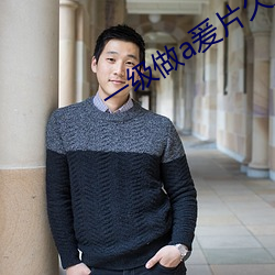 一级做a爰片久久毛片软件 （翻升）
