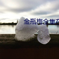 金年会(中国)官方网站