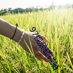 97视频碰碰船 （一笑置之）