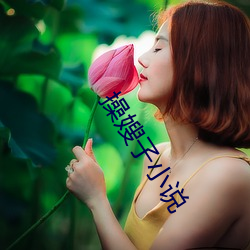 操嫂子小說