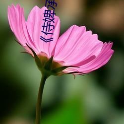 米乐M6·(中国)官方网站