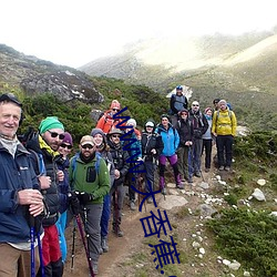 918博天堂·(中国)手机版客户端