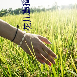花兒直播下載地址