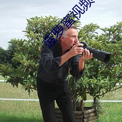 菠萝蜜视频在线观看入口 ��暴戾恣睢）