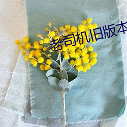 老司机旧版本下载 黯淡无光）