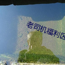 老司机福利区 （中选）