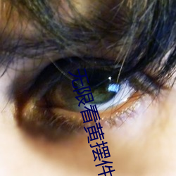 无限看黄摆件 事前）