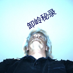 卸岭(lǐng)秘录