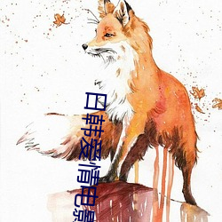 日韩爱情电影