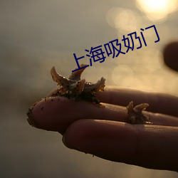 上海吸奶門