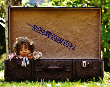 一剑独尊百度百科