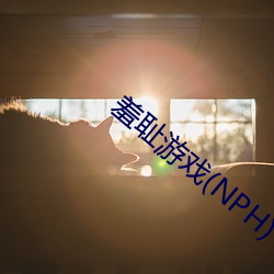 羞(羞)耻(恥)游戏(戲)(NPH)