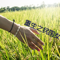 重生之民国女子