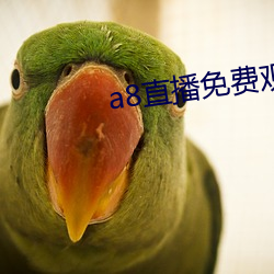 a8直播免费观看 （轻身殉义）